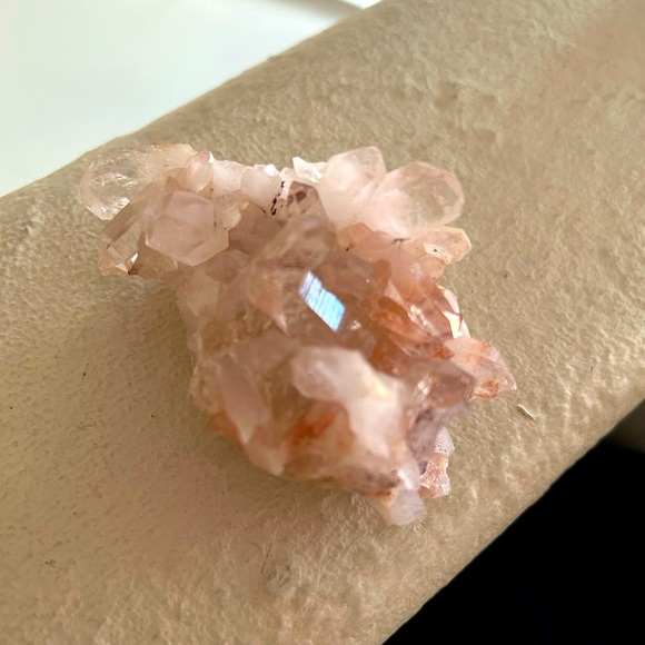 Pink Himalayan - Picture 3 of 3